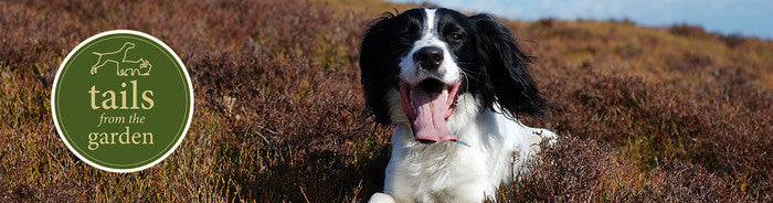 Don’t let your thirst leave you in deep water this summer