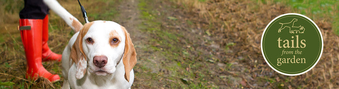 October Foraging Checklist