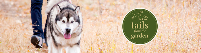 Weekend Walks Checklist