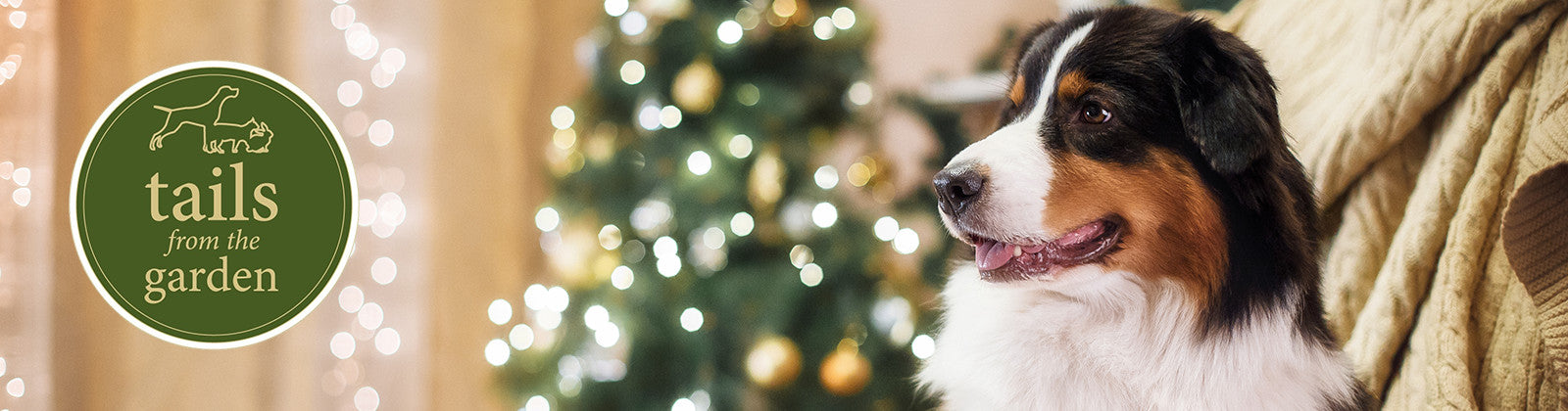 Festive Foods to Avoid an Upset Dog