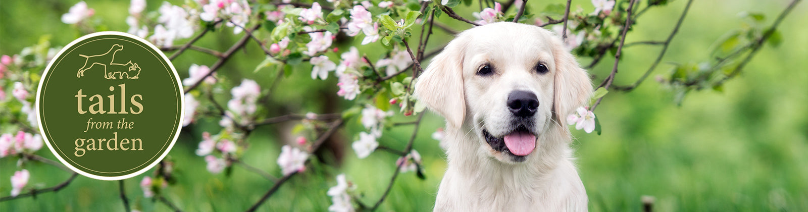 Looking out for the first signs of spring