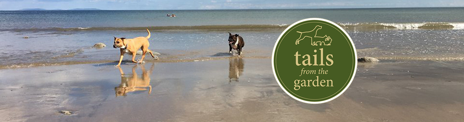 Harringtons Favourite Staycations