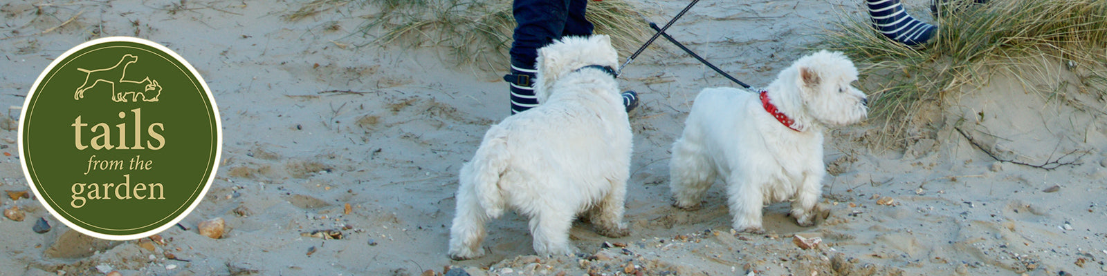 Great Summer Walks for all the Family