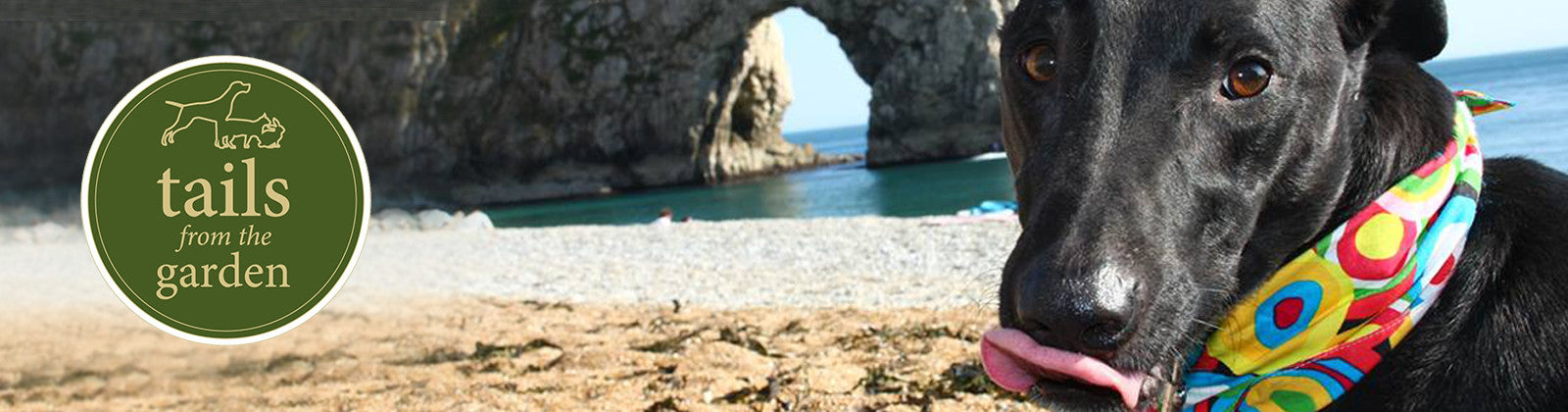 Feel the Sand Beneath Your Paws!