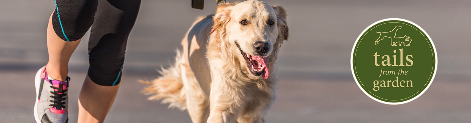 Top tips for running with your dog