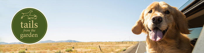 Top Tips for Travelling with Your Pooch