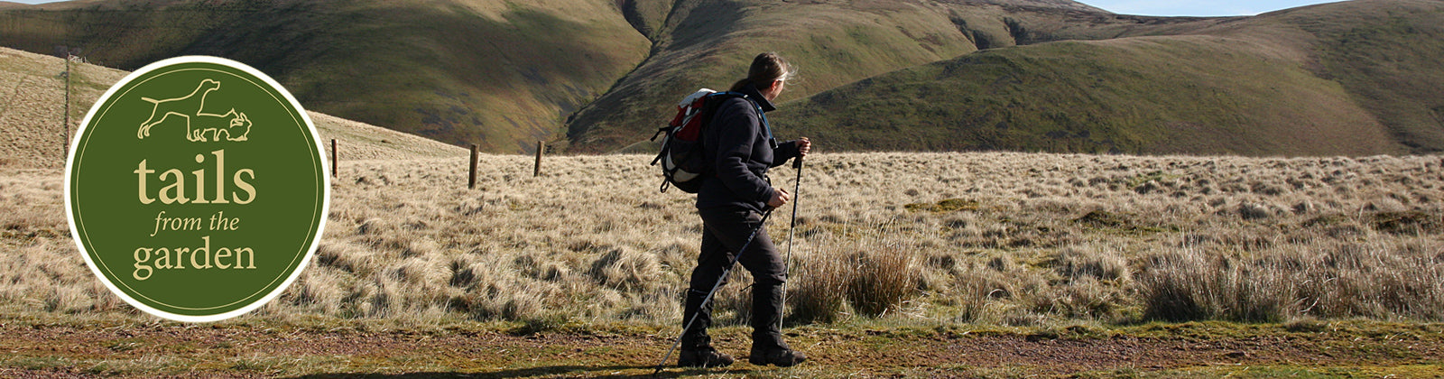 The number one accessory to make your dog walk much easier