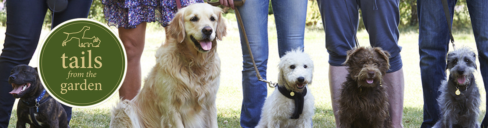 Harringtons Favourite Dog Training Classes