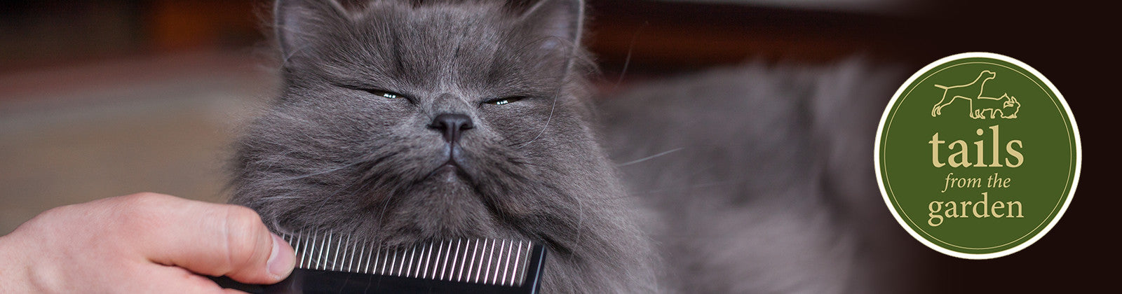 How to Keep Your Cat Naturally Beautiful