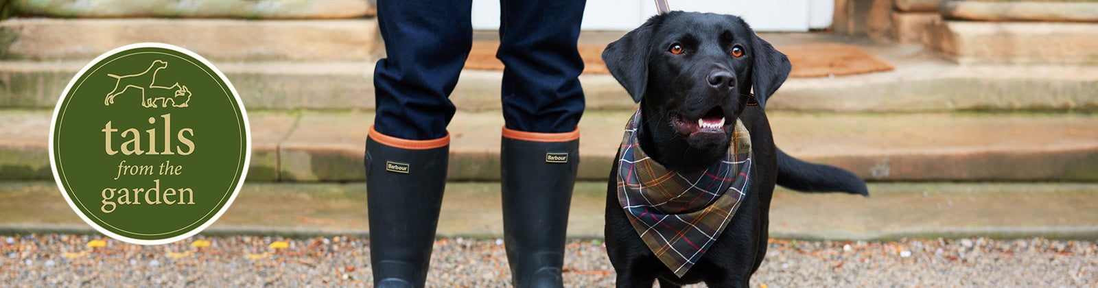 Top Tips To Plan Your Walks This Winter