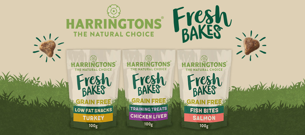 Our Grain-Free FreshBakes Dog Treats