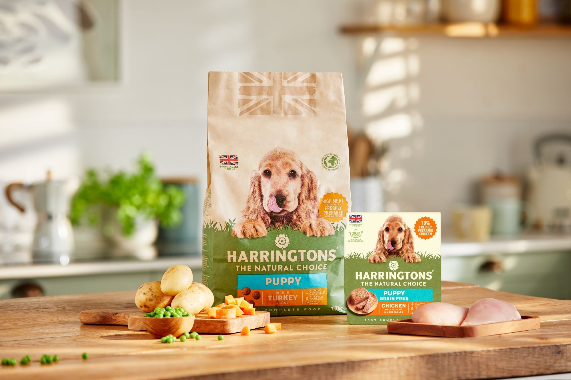 Welcoming a New Puppy to Your Family