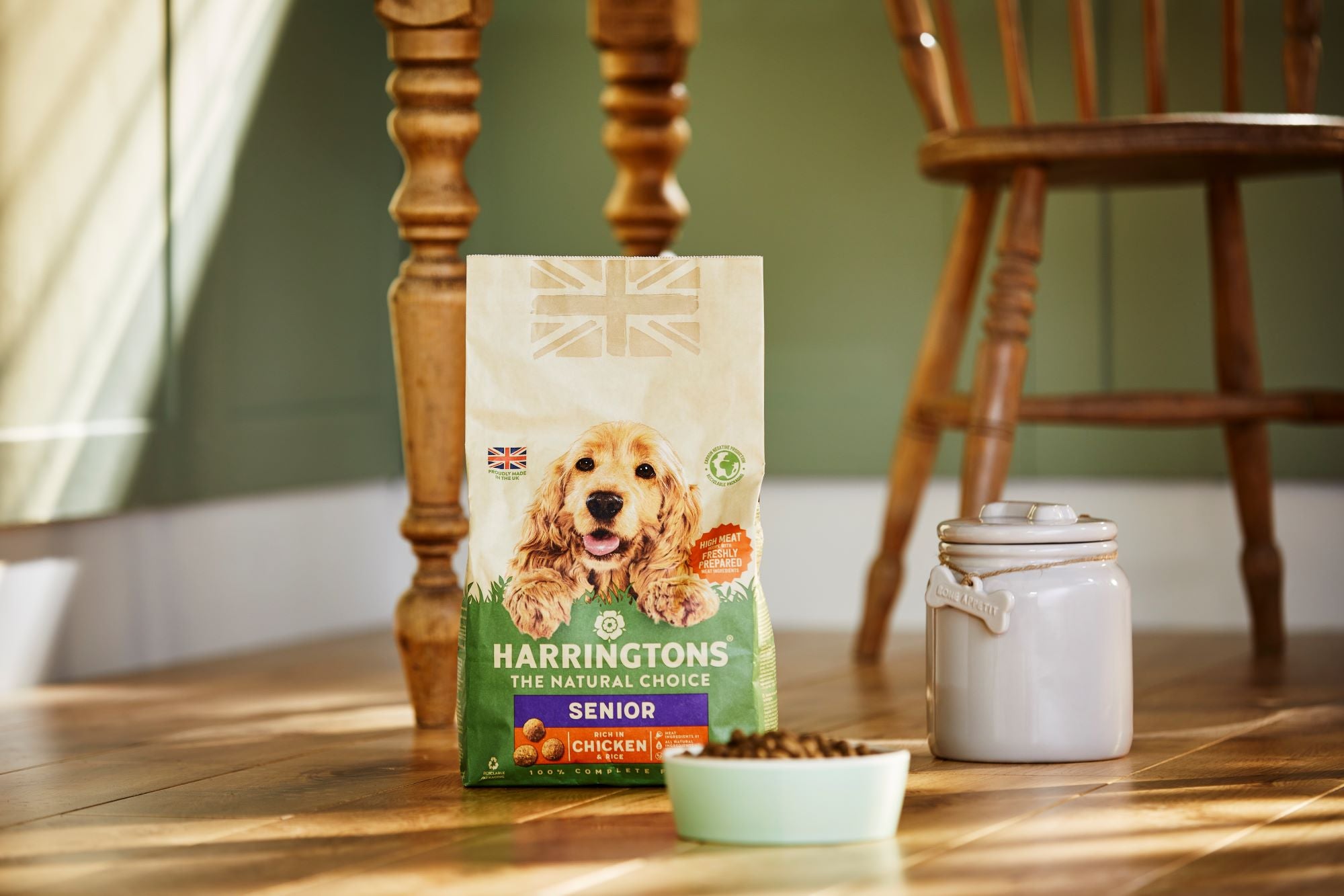 What's the best food for my senior dog?