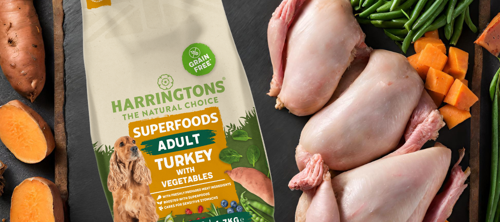 Why Our Superfoods Grain-Free Turkey Dog Food Is a Great Choice