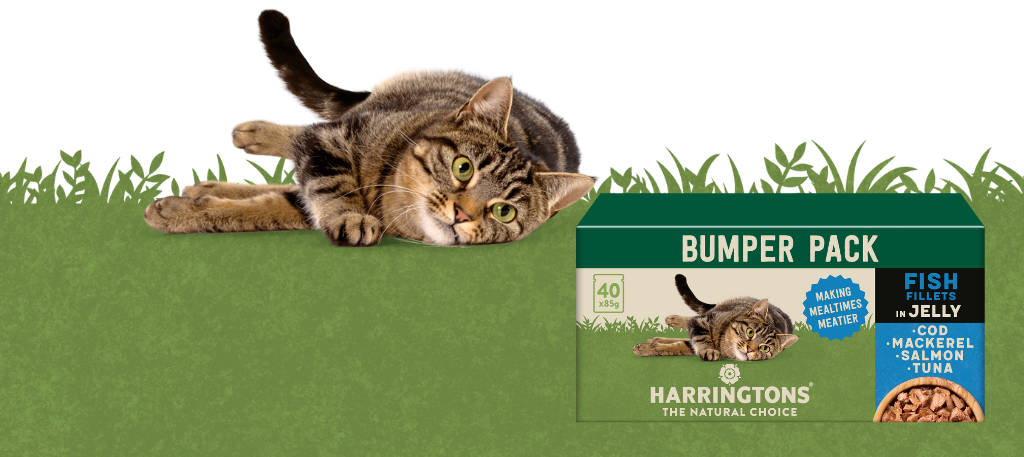 Harringtons Grain Free Wet Cat Food