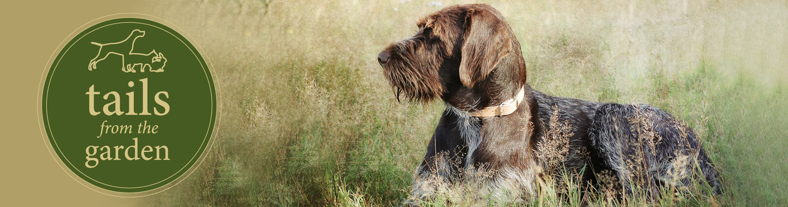 Meet the stars of our TV ad