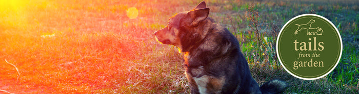 Countryside Walking Hazards