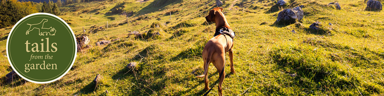 A Beginners' Guide to Hill-Walking