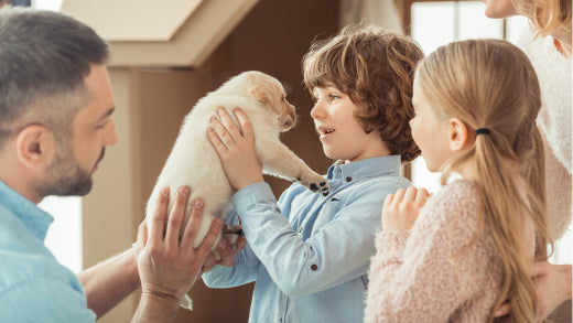 Choosing a puppy – a practical guide