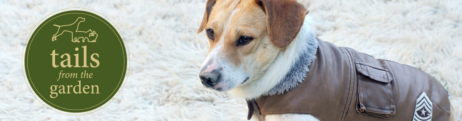 Five Tips To Keeping Your Dog Warm This Winter