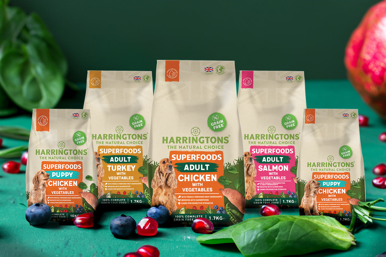 What Makes Harringtons Superfoods Dog Food So Special?