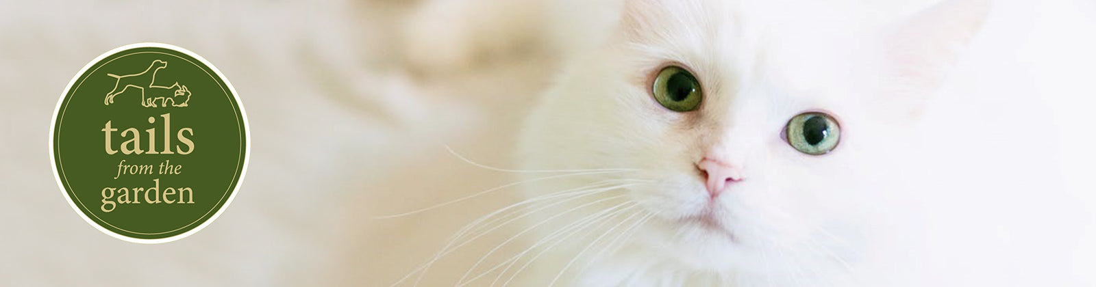 5 Things You Didn’t Know About Your Cat