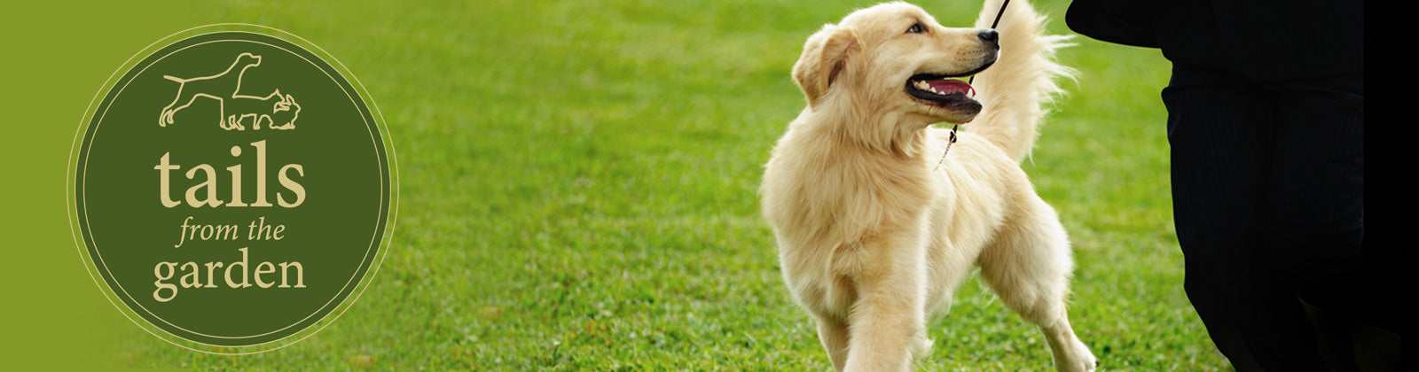 Harringtons and Barbour Dogs at Crufts 2017