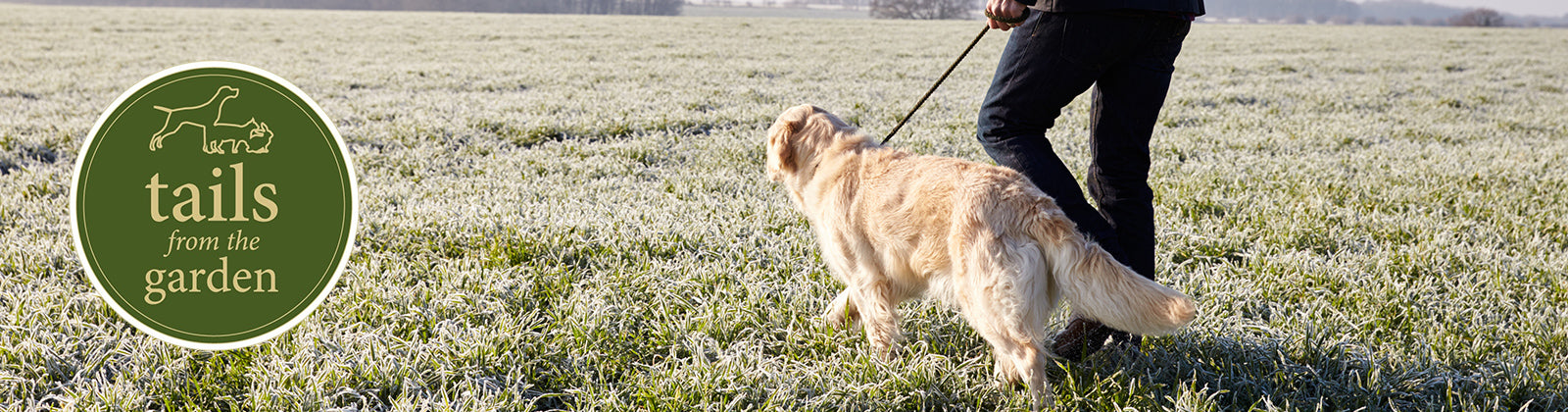 Top Tips on Avoiding Tick bites and Lyme Disease