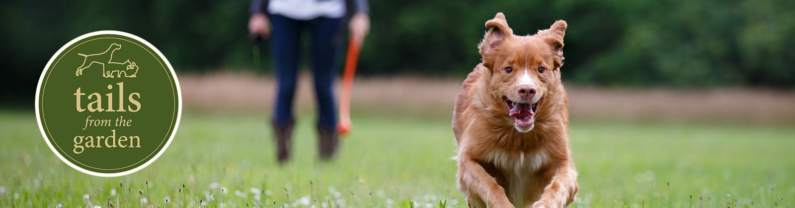 Top Tips for Making Your Walk More Exciting