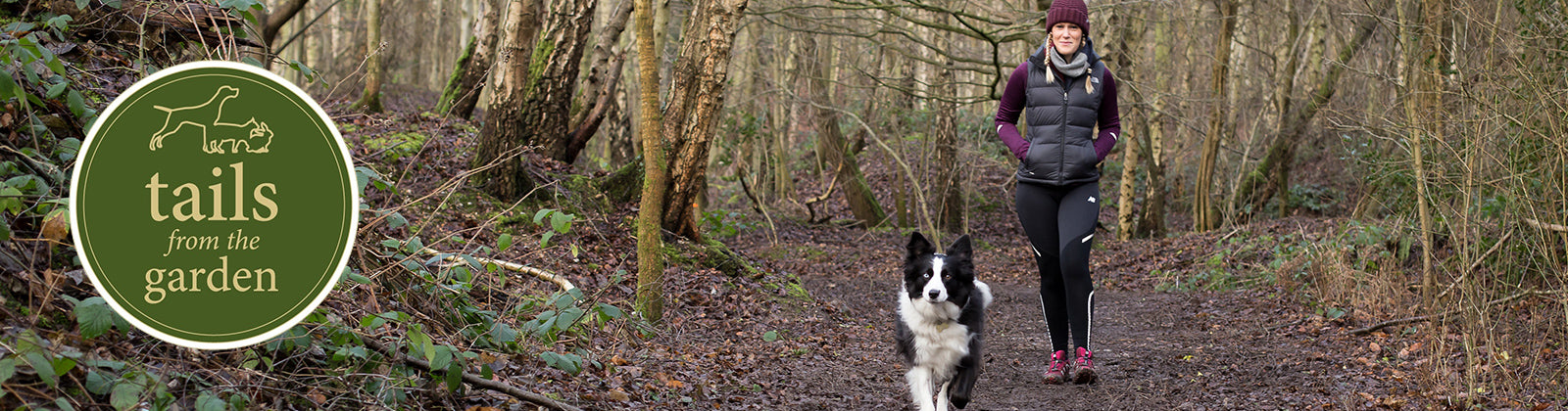 How to Train Your Dog to Run with You