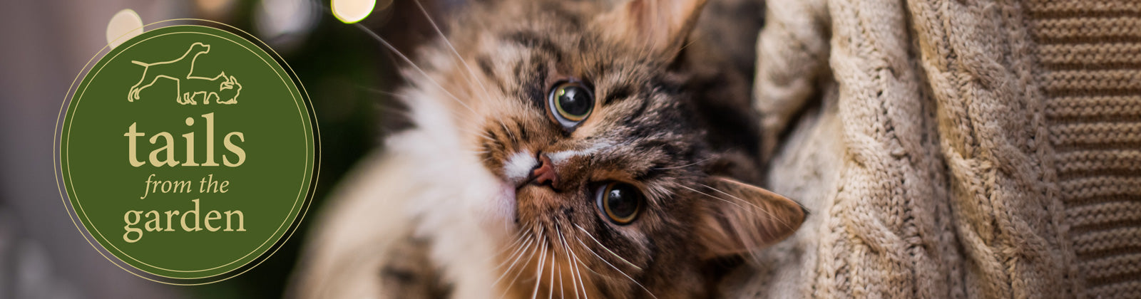 My Not So Purr-fect Christmas