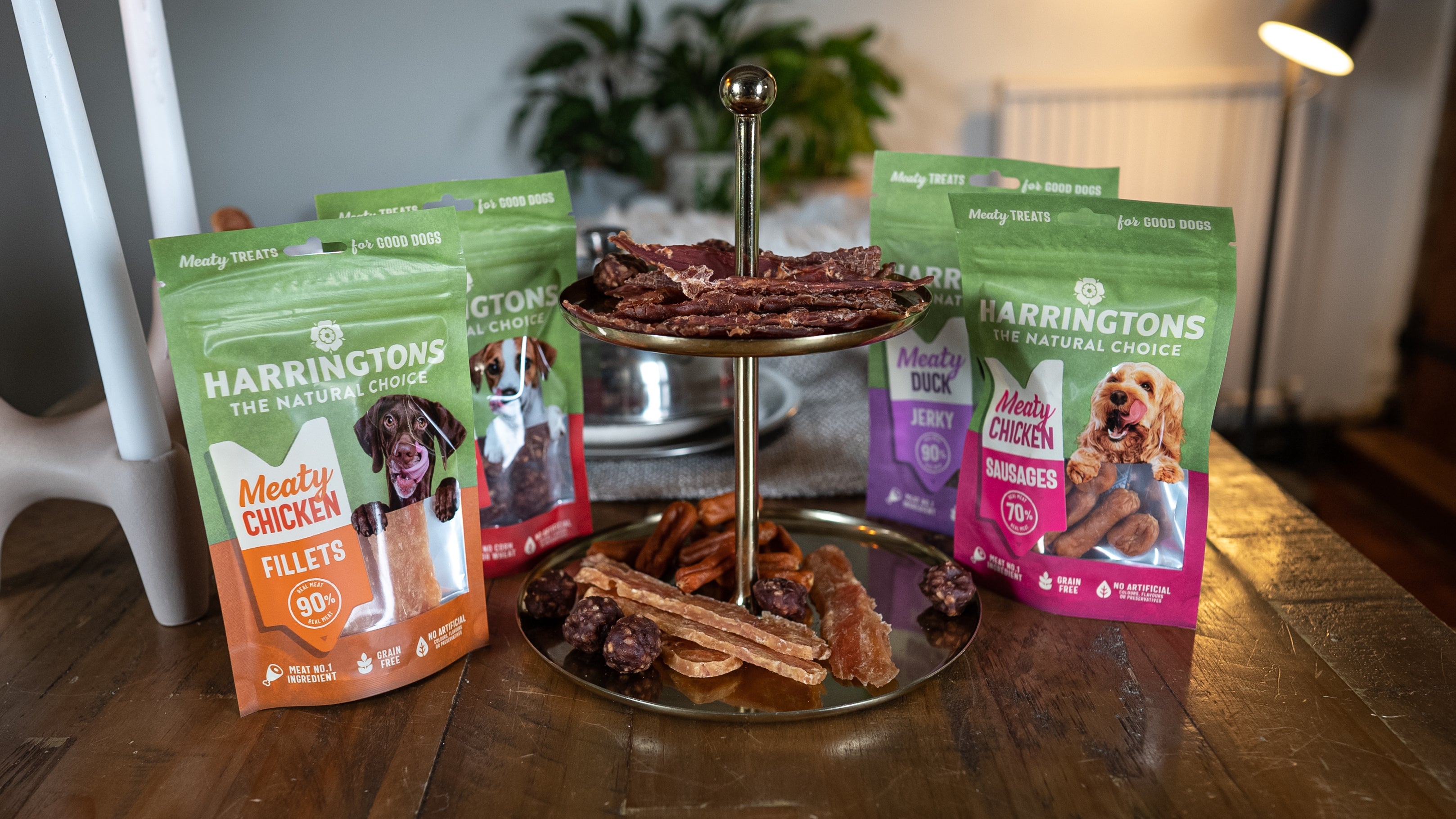 How many treats should a dog have?