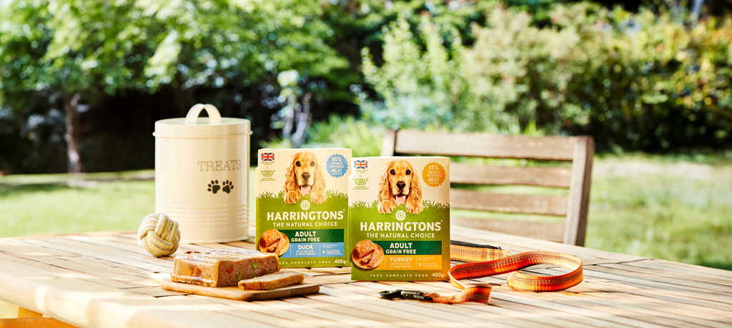 Should I feed my dog wet food?