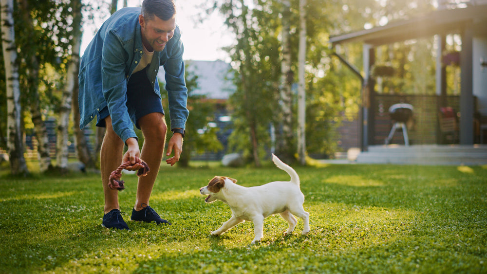 The Right Way to Exercise Your Puppy: A Guide for Pet Owners