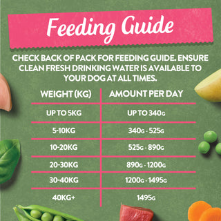 Grain Free Tasty Selection Wet Dog Food Bumper Pack 6 x 150g