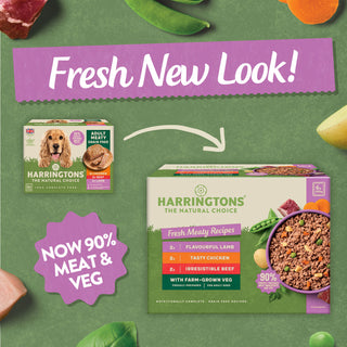 Grain Free Meaty Selection Wet Dog Food 6 x 400g