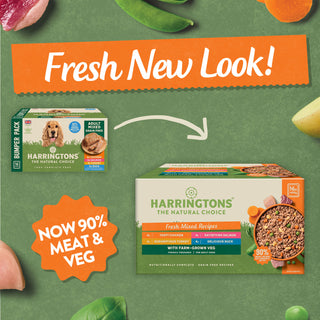 Grain Free Mixed Wet Dog Food Bumper Pack 16 x 400g