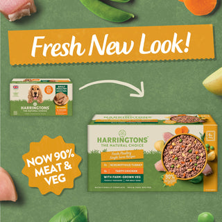 Grain Free Poultry Selection Wet Dog Food Bumper Pack 6 x 150g