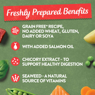 Grain Free Classics Selection Wet Dog Food Bumper Pack 16 x 400g