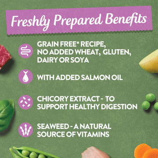 Grain Free Meaty Selection Wet Dog Food Bumper Pack 16 x 400g