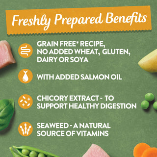 Grain Free Poultry Selection Wet Dog Food Bumper Pack 6 x 150g