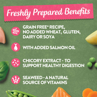 Grain Free Tasty Selection Wet Dog Food Bumper Pack 6 x 150g