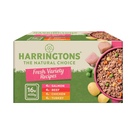 Grain Free Variety Selection Wet Dog Food Bumper Pack 16 x 400g