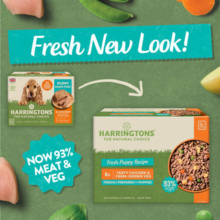 Chicken with Potato & Vegetables Grain Free Wet Puppy Food 18 x 380g