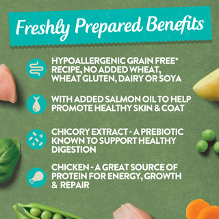 Chicken with Potato & Vegetables Grain Free Wet Puppy Food 8 x 380g