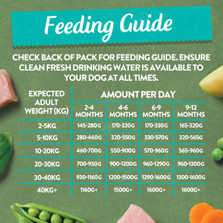 Chicken with Potato & Vegetables Grain Free Wet Puppy Food 18 x 380g