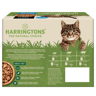 Complete Grain-Free Adult Fish Selection in Jelly Wet Cat Food Bundle 72x85g