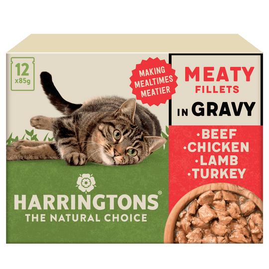 Complete Grain-Free Adult Meaty Selection in Gravy Wet Cat Food Bundle 72x85g