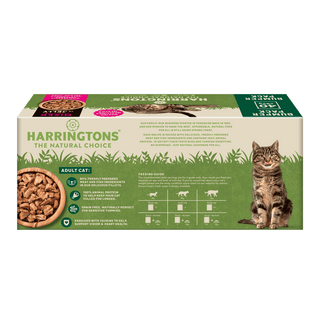 Complete Grain-Free Adult Mixed Selection in Jelly Wet Cat Food Bumper Pack 40x85g