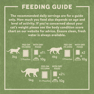 Complete Grain-Free Adult Mixed Selection in Jelly Wet Cat Food Bumper Pack 40x85g